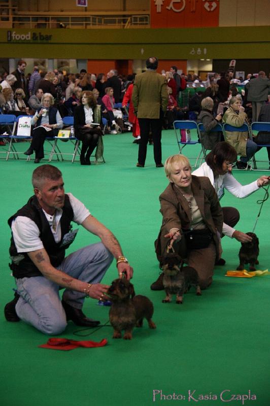 Crufts2011_2 709.jpg